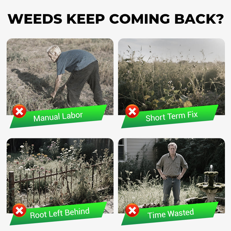 🌱 Cyclosinone Granular Weed Killer – Low-Toxicity Formula for Lawns & Gardens